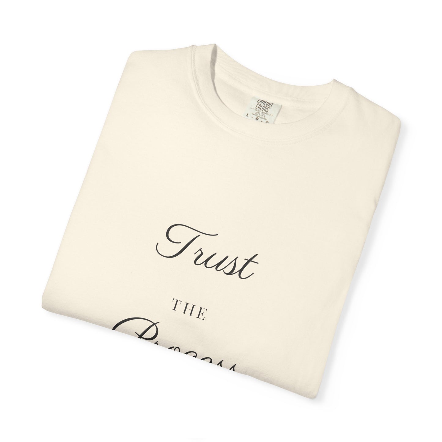 trust the process. Garment-Dyed Tee
